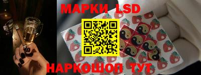 стаф Канаш