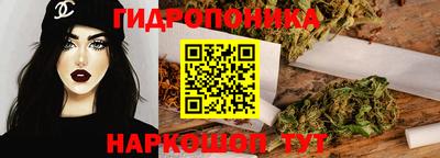стаф Канаш