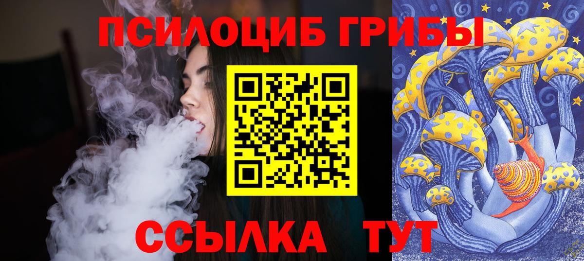 Псилоцибиновые грибы прущие грибы Валуйки